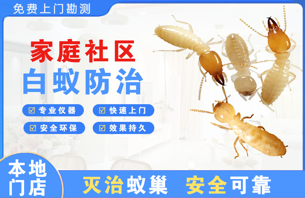 长兴家庭社区白蚁防治