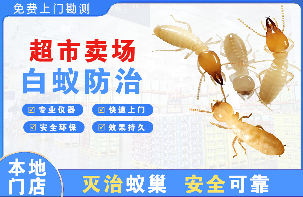长兴超市卖场白蚁防治