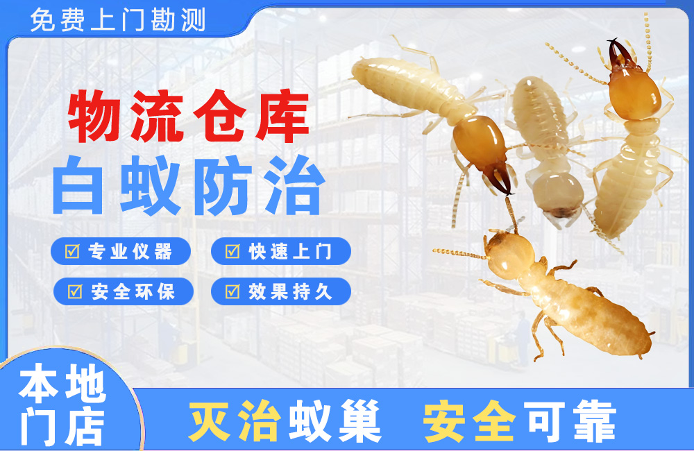 长兴物流仓库白蚁防治