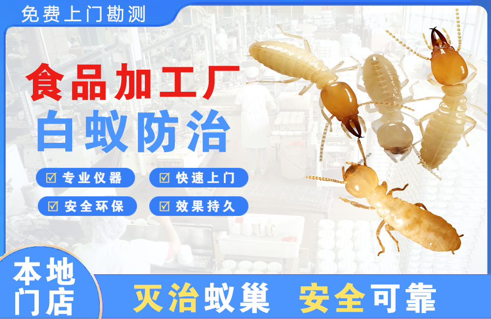 长兴食品加工厂白蚁防治