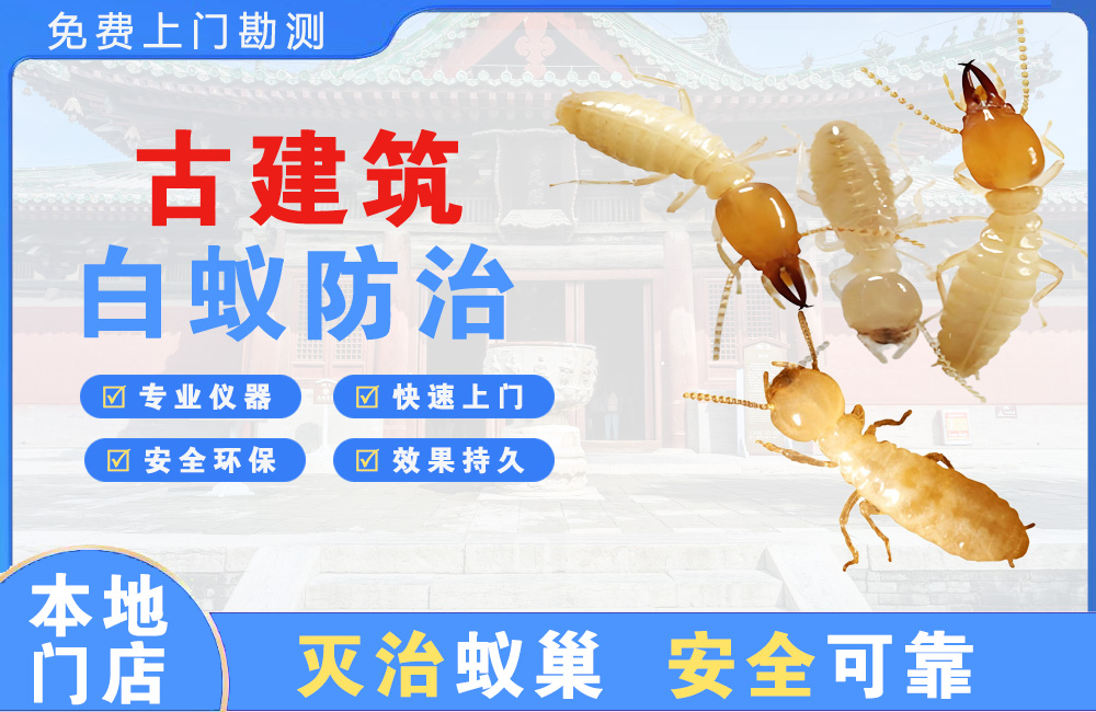 长兴古建筑白蚁防治