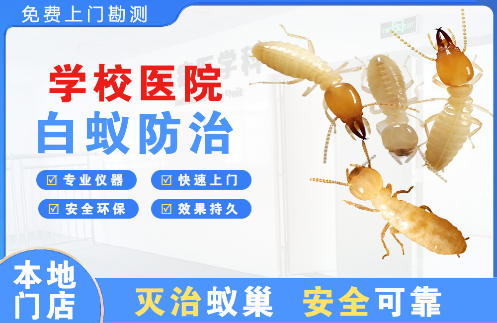 长兴学校医院白蚁防治
