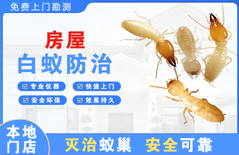 长兴房屋白蚁防治