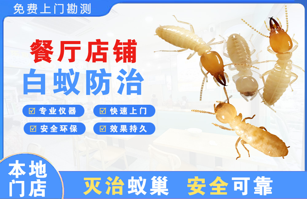 长兴餐厅店铺白蚁防治